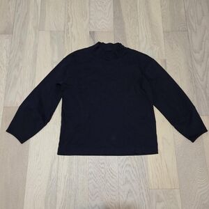 Everlane Luxe Cotton Mockneck Tee